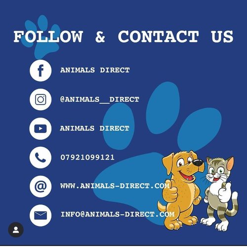 Animals Direct Contact Details