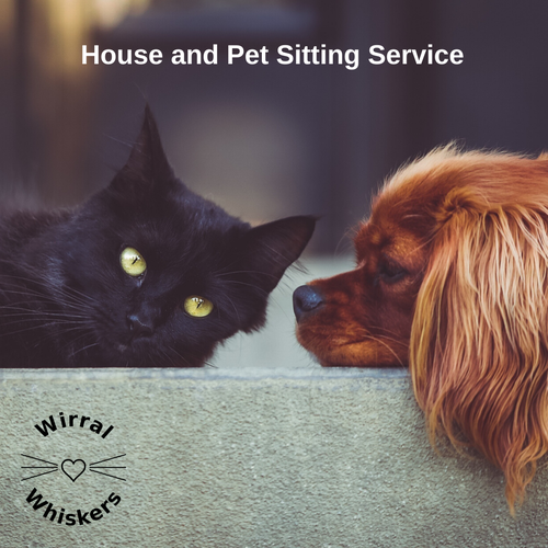 House Sitting Service