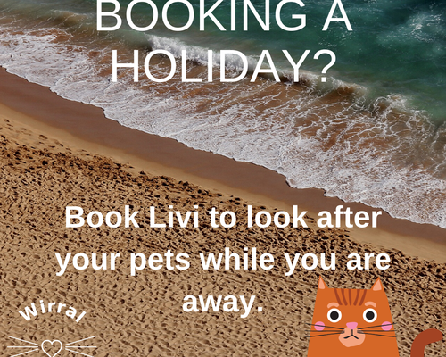 Booking a holiday