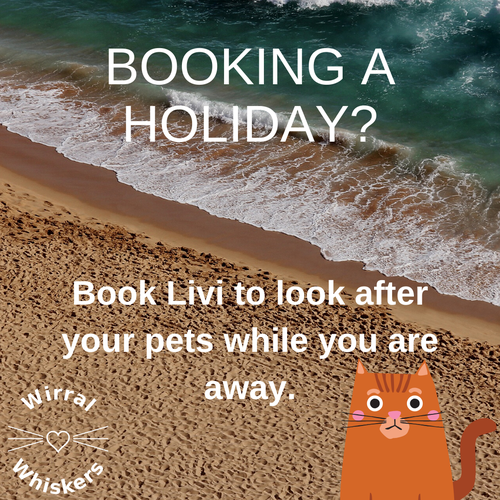 Booking a holiday