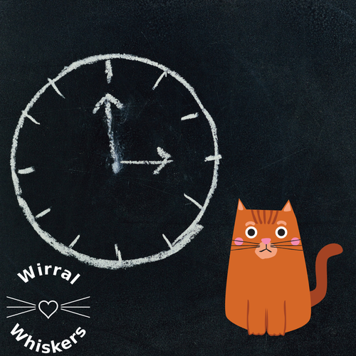 Cat and clock