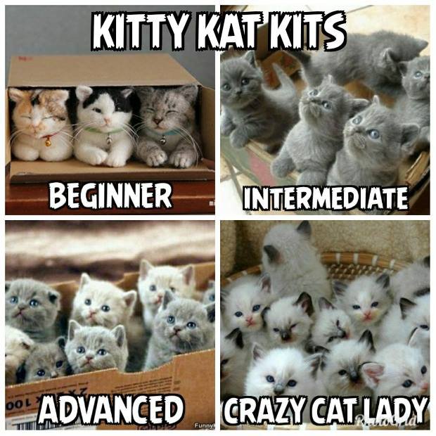 Cat Starter Kit