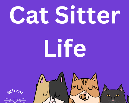 Cat Sitter Life