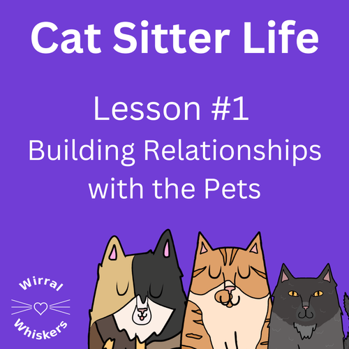 Building relationships with pets