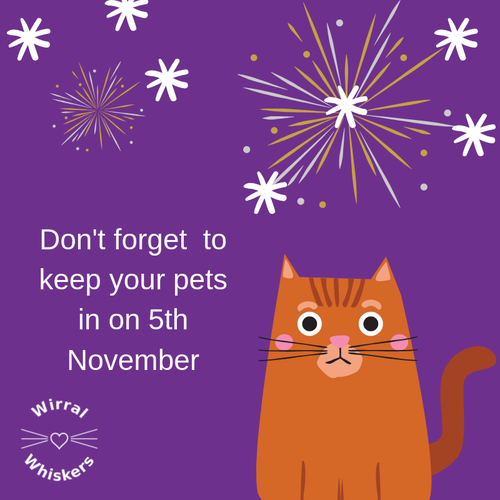 Don't forget to keep your pets in on 5th November