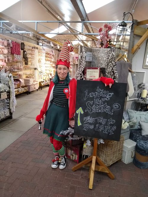 'Elf Employed Christmas Season Wirral Whiskers