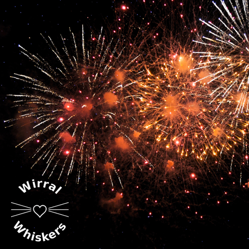 Firework Legislation