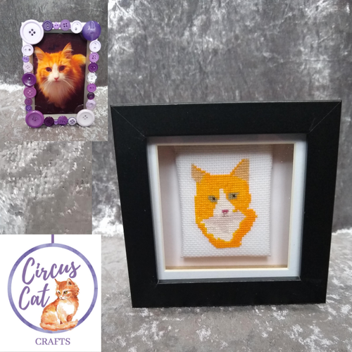 Circus Cat Crafts - Bespoke Pet Portraits