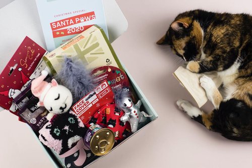 Gus and Bella Subscription Box