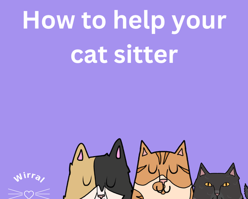 How to help your cat sitter