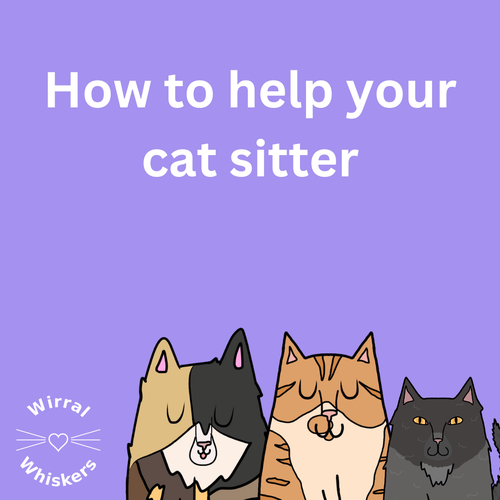 How to help your cat sitter