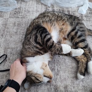 Marley