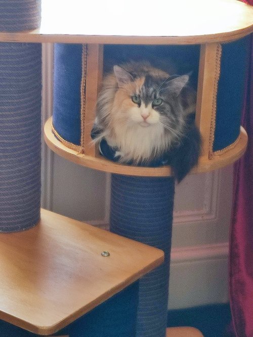 Fermi using the bed box