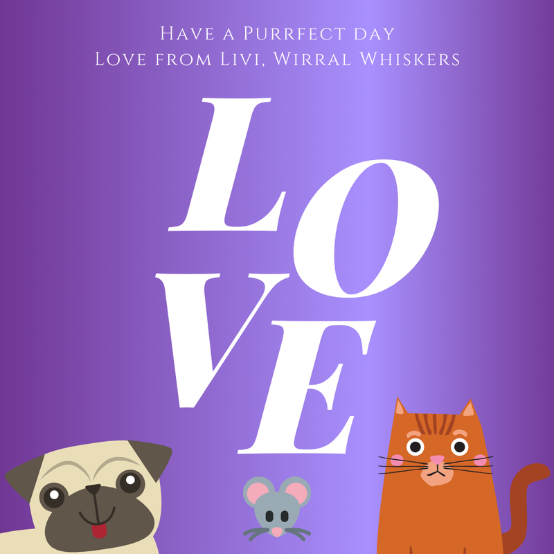 Love your pet