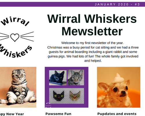 January Newsletter.png
