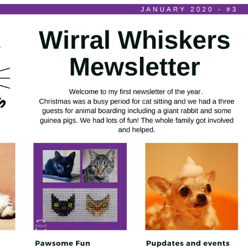 January Newsletter.png