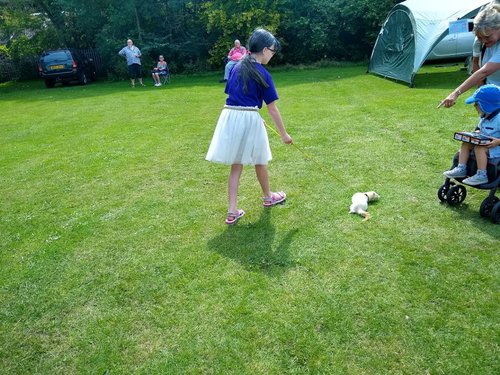 Child walking a ferret