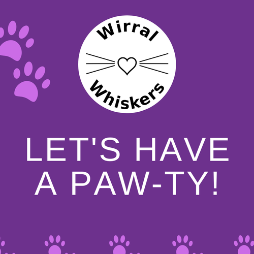 Pawty for 1st Birthday