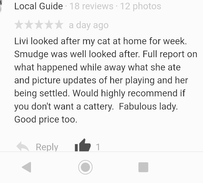 Google Review