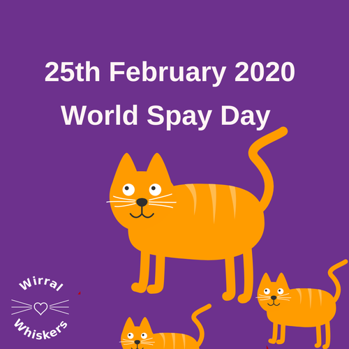 World Spay Day