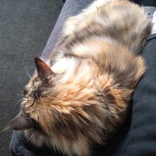 Fermi Leaning on Me