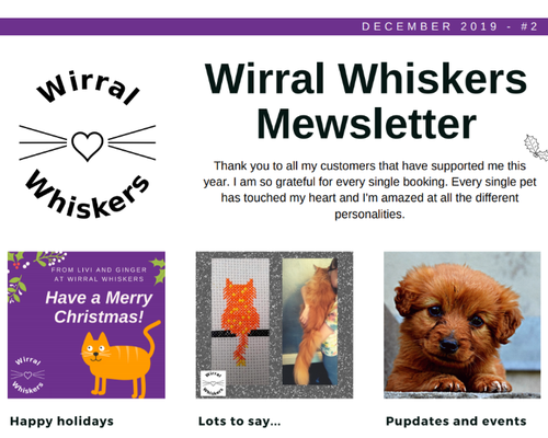#2 - Wirral Whiskers Mewsletter