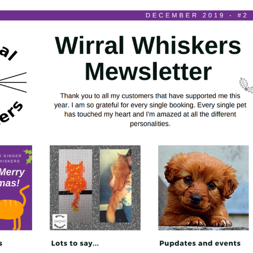 #2 - Wirral Whiskers Mewsletter